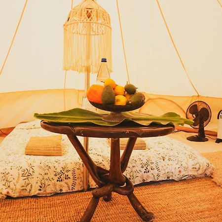 Yurt In Avocado Garden Hotel Guimar Exterior photo