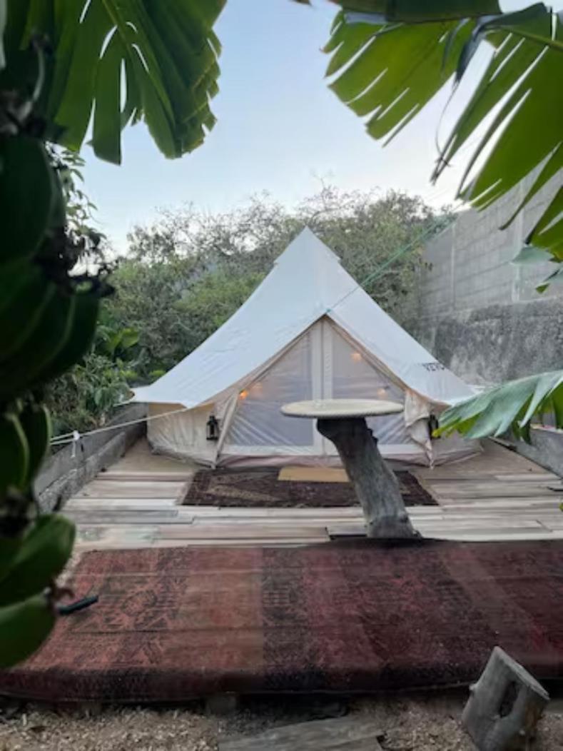 Yurt In Avocado Garden Hotel Guimar Exterior photo