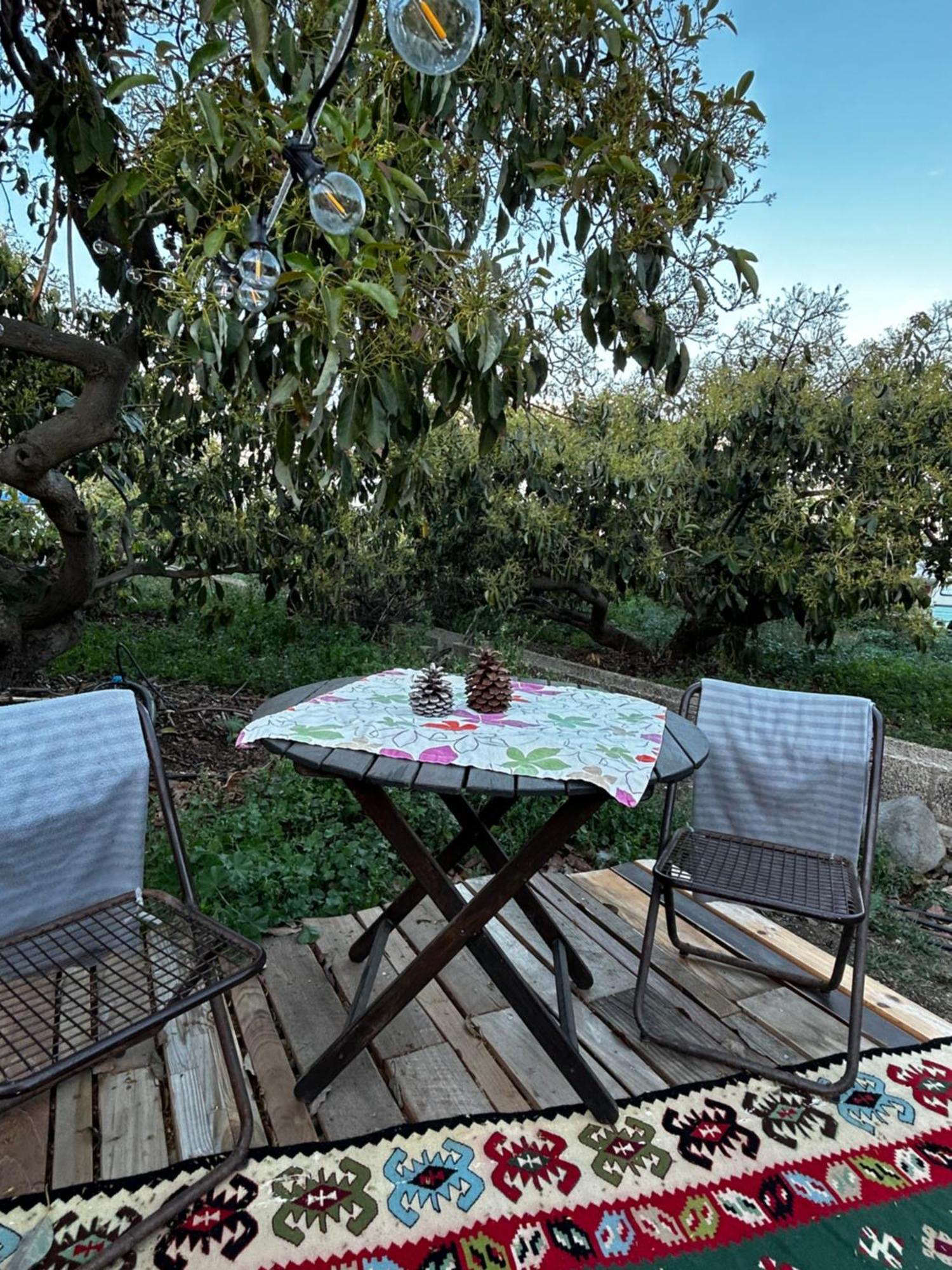 Yurt In Avocado Garden Hotel Guimar Exterior photo