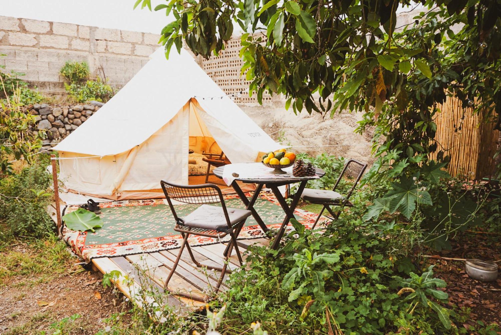 Yurt In Avocado Garden Hotel Guimar Exterior photo